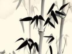 本命年兔手鏈12歲戴好嗎,本命年兔戴什么轉(zhuǎn)運(yùn)