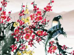 算命說花枝弱是什么意思 rd花枝