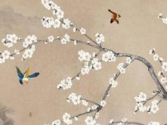 洪紹光教授那年逝世 洪紹乾簡介