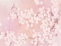 八字祿格是什么意思 八字祿的用法