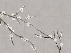 2025年5月適宜的日子查詢 哪天好適合搬家