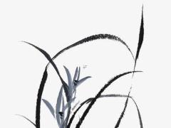 男生八字無財取什么為妻 男的八字無財