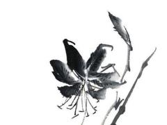 屬兔的人今年可以蓋房嗎,屬兔的人今年可以蓋房嗎好嗎