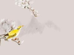 2025年適合修房的好日子 2025年5月吉日測(cè)算