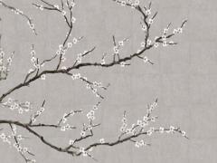 立石和五行蔬菜湯病例 立石和蔬菜湯功效