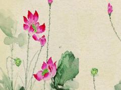 屬虎生在幾月更好 屬虎的生在幾月最好