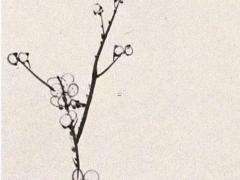 2025年5月份搬家吉日查詢適宜日 哪天好