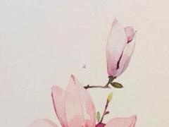 算命說是童體是什么意思 算命說是童子什么意思