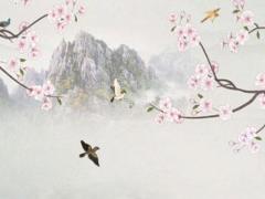 屬兔2月生本命年戴什么首飾,屬兔2月生本命年戴什么首飾比較好