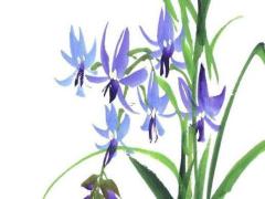 2025年五月最好出行的吉利日子