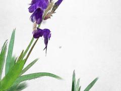 萬年歷的批八字準嗎 萬年歷查生辰八字準嗎