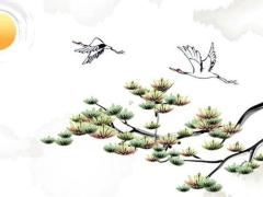 2025年五月買車的好日與吉利選擇