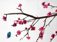 2025年5月砍樹吉利日子查詢 適合安排