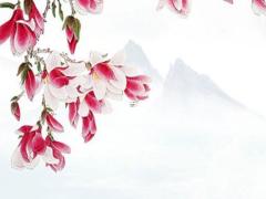 八字單單十居后什么意思 八字單單十居后陽(yáng)光探碼