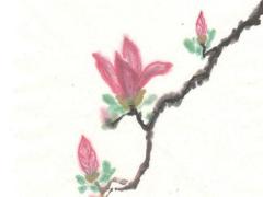 1977年屬蛇人有幾次婚姻呢,1977年屬蛇的一生有幾段婚姻