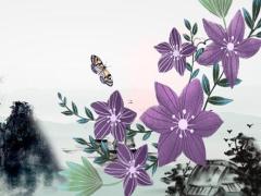 招財樹如何養活 招財樹怎么養活