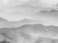 2025年5月最佳提車日 吉利日分析