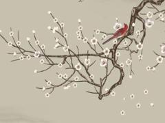 88的龍和87的兔婚姻怎么樣 88屬龍和87屬兔的婚姻相配嗎