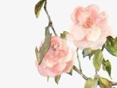 2025年5月最吉利裝修日 哪日適合開工