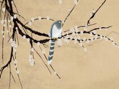 從美國寄東西回來要交稅嗎 美國寄回來的東西需要交稅嗎