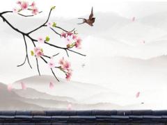 五行八字命屬什么 八字命理五行屬什么