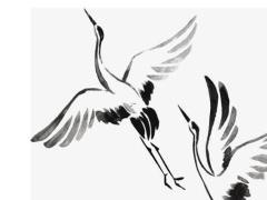 2025年農歷5月最佳日子推薦