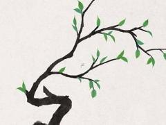 明年兔本命年戴什么飾物好一點,屬兔的明年本命年運勢如何