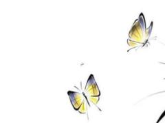 2025年五月適合搬家的最佳日子分析 適宜搬家的吉日