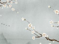 2025年五月適合裝修的最佳日子 哪日好