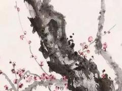 為什么說屬羊的命苦 為什么會說屬羊的命不好