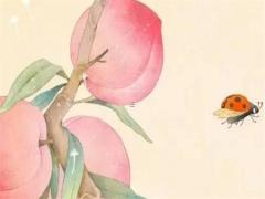 屬虎未時出生的女孩命運 屬虎女未時生一生命運