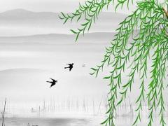 屬兔本命年的大忌是什么屬相,兔年的本命年