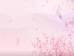 旺夫八字的女明星 八字旺夫的女人