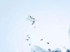 什么八字五福不齊全是正財 八字五福星是什么意思