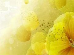 2025年5月剪頭發最佳吉日查詢哪日好