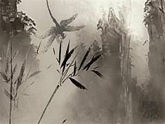 豬狗不到頭什么意思 狗比豬大一歲結婚好嗎