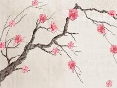 哪些明星身上有紋身 那些明星身上有紋身