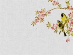 射手座女真的不能惹 射手女不好惹