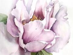 2025年5月吉日適宜屬相男 哪天好選擇