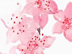 2025年農(nóng)歷五月搬家最佳選擇日