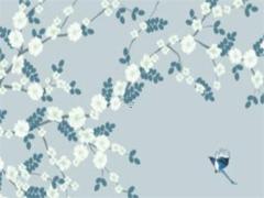 1997年12月10日凌晨八字 1997年12月10日陰歷