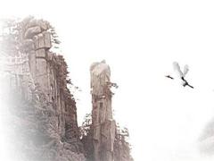 1952年是什么屬相?,1952年是啥屬相