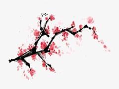 2025年5月最佳祈福日與哪天好