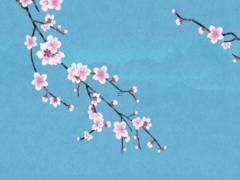 2025年農歷五月適宜買車吉日查詢大全 哪天好適合購車的最佳吉日