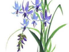 本命年兔農歷四月初七出生好嗎,本命年兔農歷四月初七出生好嗎男孩