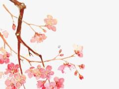 一個人命運(yùn)有范太歲是什么意思 犯太歲會怎么樣