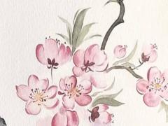 2025年五月生寶寶最佳吉日查詢 哪日最適合