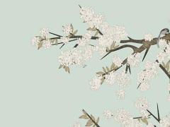 2025年五月適合的吉日查詢 哪日最吉利適合結婚