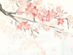 蒼南縣錢庫鎮八字橋副食品店在哪里啊電話號碼 蒼南錢庫吧