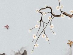 本命年兔會遇到正緣嗎,本命年的兔